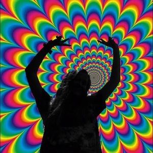 Meet your Posher, Ally